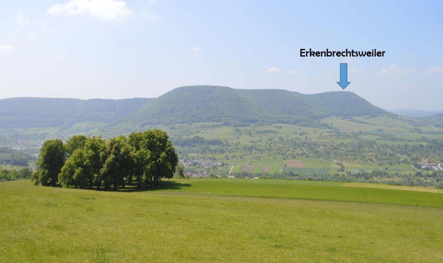 Fewo-Alb-Traum Erkenbrechtsweiler 외부 사진